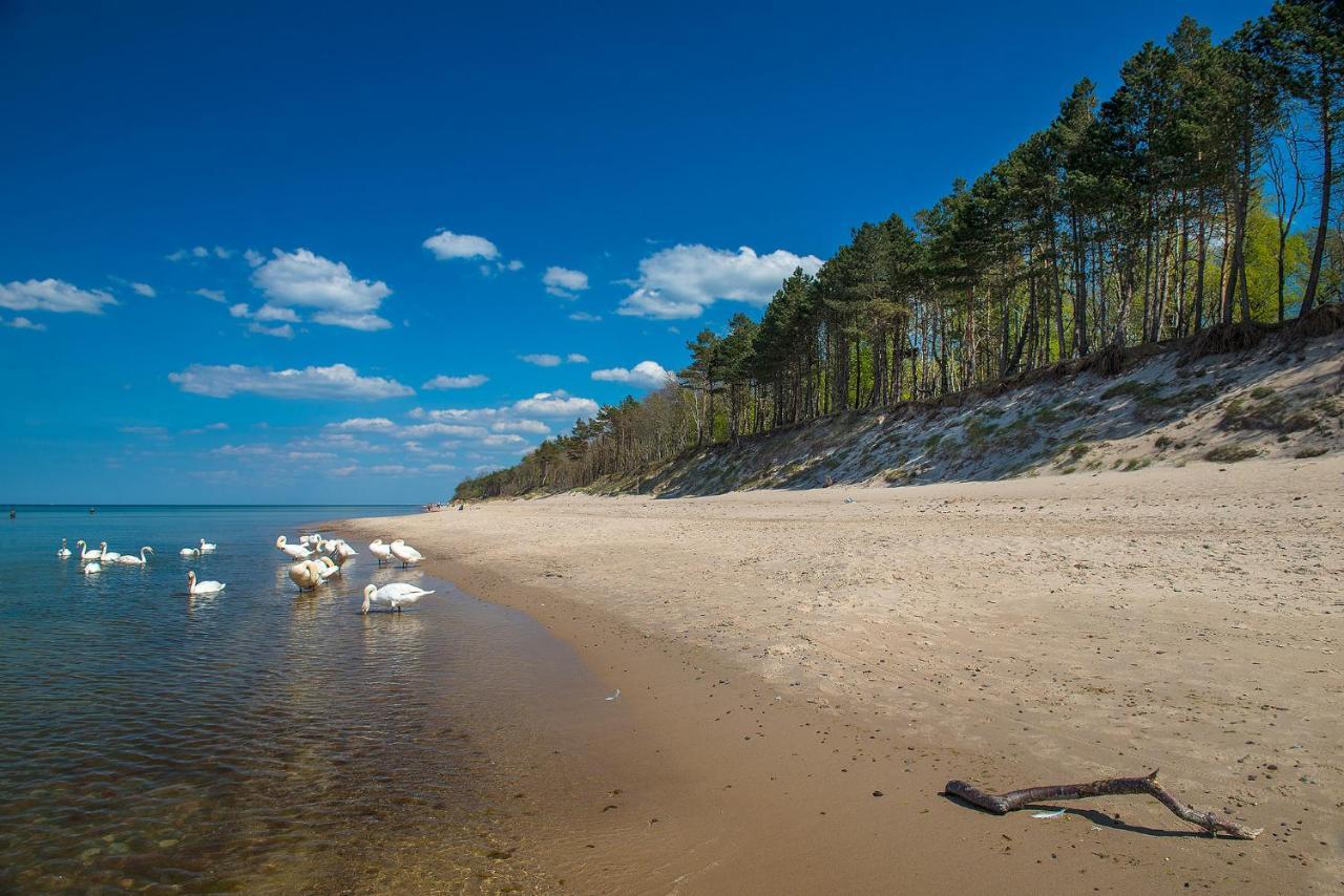 Dworek Morski Spa & Wellness ミエルノ エクステリア 写真